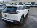 Peugeot 2008 1.5BlueHDi S&S Active 110 Weiß - thumbnail 18