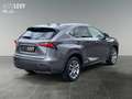 Lexus NX 300 NX300h  Hybrid Executiv *Pano*SHZ*PDC*LED* Gri - thumbnail 6