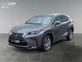 Lexus NX 300 NX300h  Hybrid Executiv *Pano*SHZ*PDC*LED* Gri - thumbnail 2