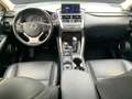 Lexus NX 300 NX300h  Hybrid Executiv *Pano*Sitzhzg*PDC*LED Grijs - thumbnail 11