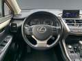 Lexus NX 300 NX300h  Hybrid Executiv *Pano*SHZ*PDC*LED* Gri - thumbnail 13