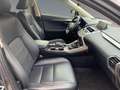 Lexus NX 300 NX300h  Hybrid Executiv *Pano*Sitzhzg*PDC*LED Grijs - thumbnail 16