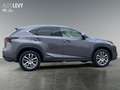 Lexus NX 300 NX300h  Hybrid Executiv *Pano*SHZ*PDC*LED* Gri - thumbnail 7