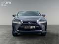 Lexus NX 300 NX300h  Hybrid Executiv *Pano*SHZ*PDC*LED* Gri - thumbnail 9