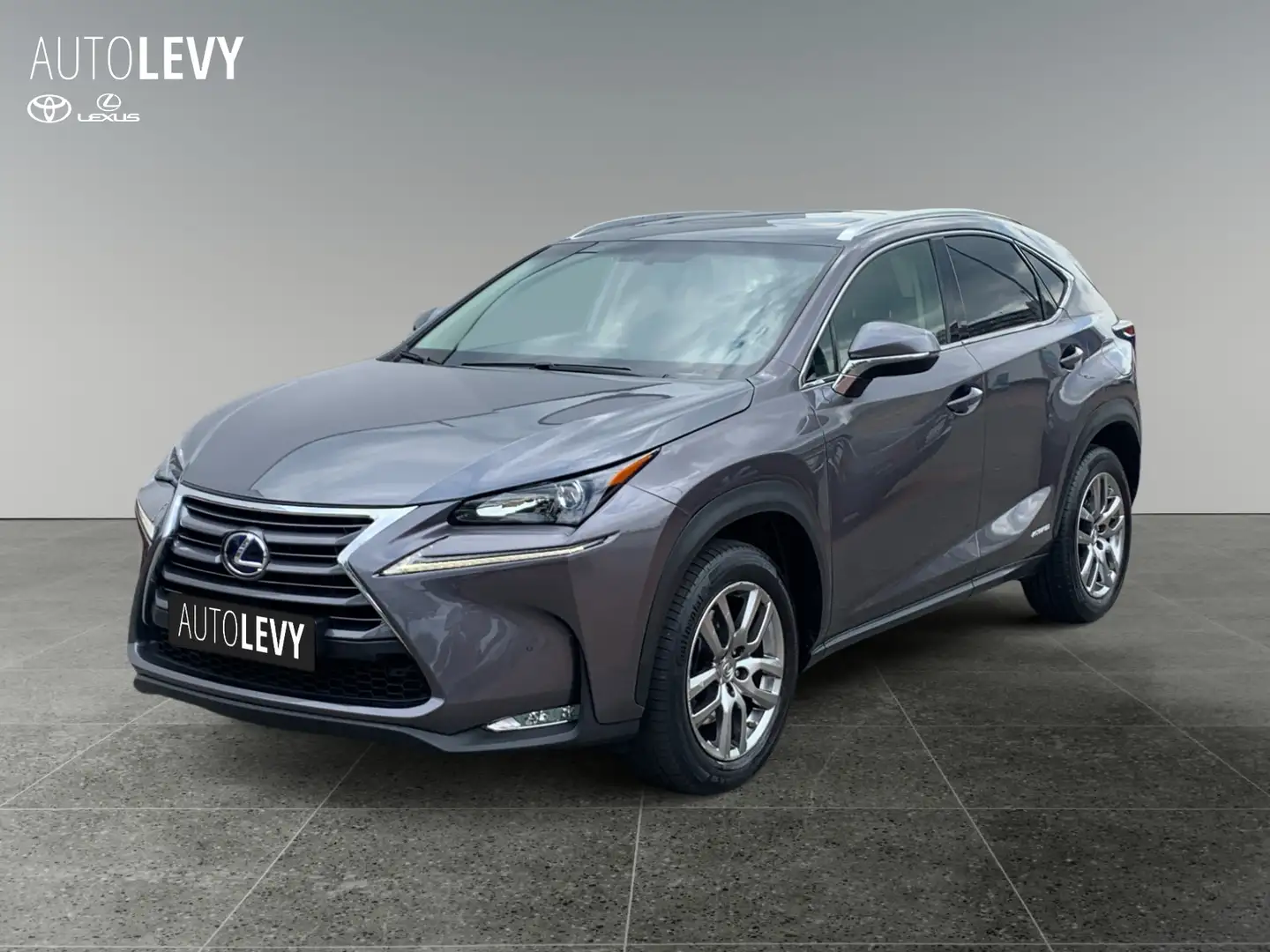 Lexus NX 300 NX300h  Hybrid Executiv *Pano*Sitzhzg*PDC*LED Grey - 2