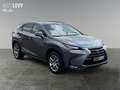 Lexus NX 300 NX300h  Hybrid Executiv *Pano*SHZ*PDC*LED* Gri - thumbnail 8