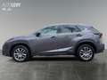 Lexus NX 300 NX300h  Hybrid Executiv *Pano*Sitzhzg*PDC*LED Grijs - thumbnail 3