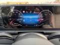 Mercedes-Benz GLS 450 GLS -Klasse GLS 450 d 4Matic Gris - thumbnail 42