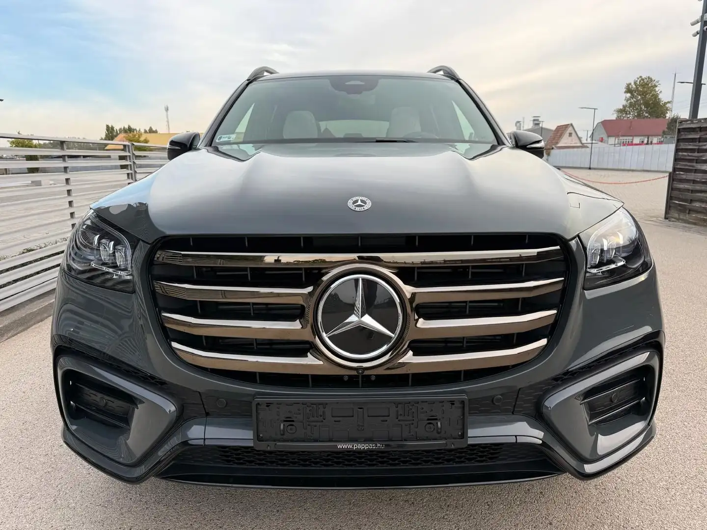 Mercedes-Benz GLS 450 GLS -Klasse GLS 450 d 4Matic Gris - 2