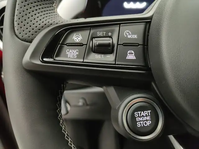 Alfa Romeo Tonale view 14
