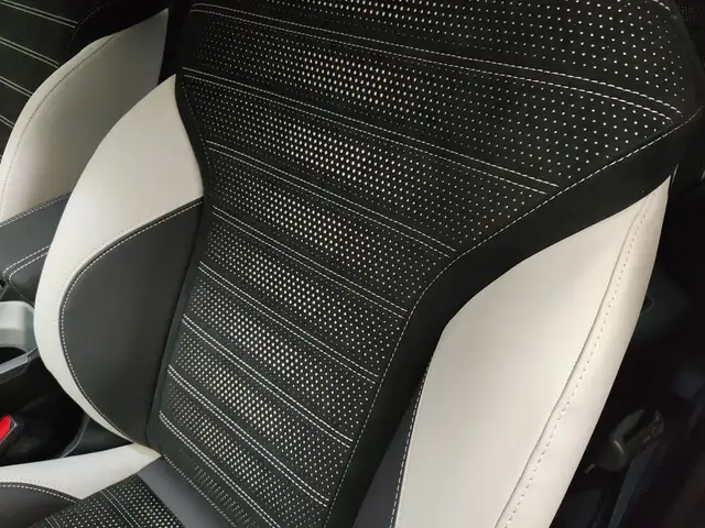 Alfa Romeo Tonale view 29