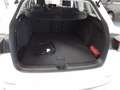Volkswagen Golf Variant Life 1.5 TSI LED NAV PDC SHZ HEADUP Weiß - thumbnail 9