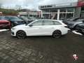 CUPRA Leon Sportstourer 2.0 TSI VZ 4Drive+Matrix+Navi+ACC Weiß - thumbnail 5