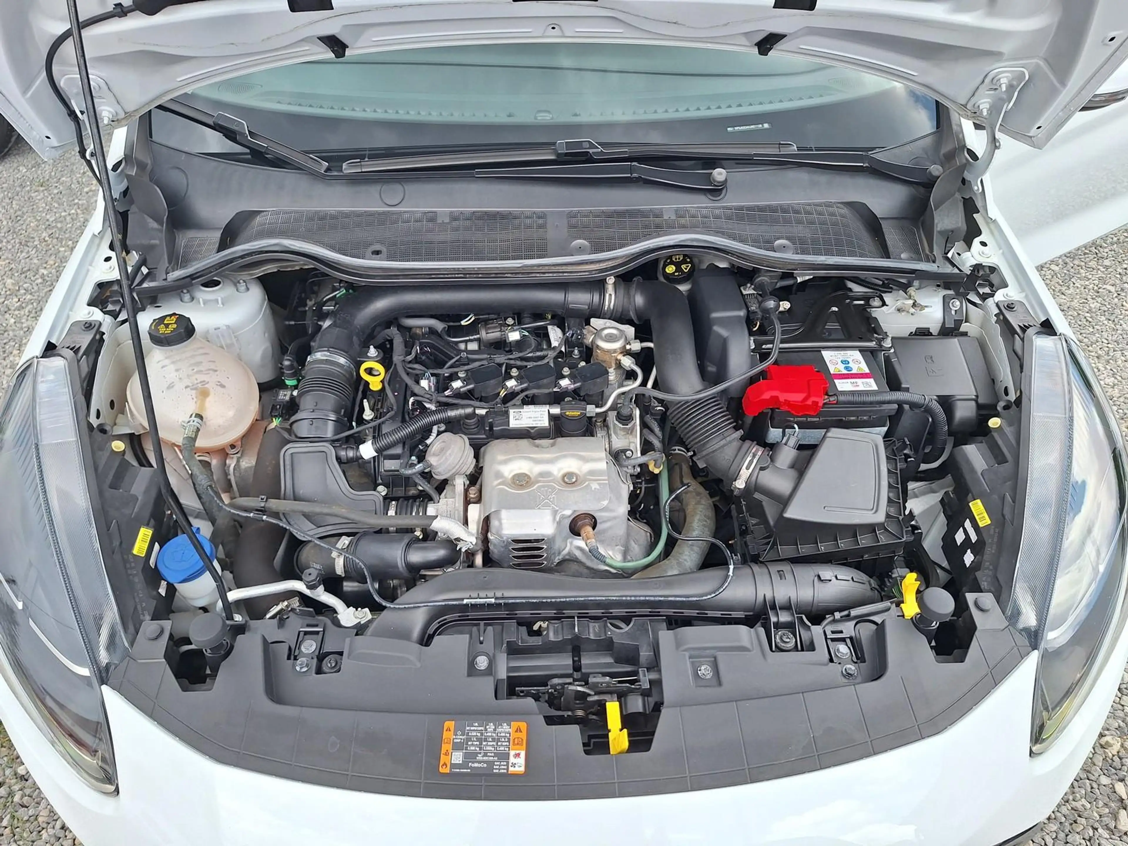 Ford Fiesta Cool & Connect 1.0 EcoB. Klima Navi DAB PPS Hi — photo 15