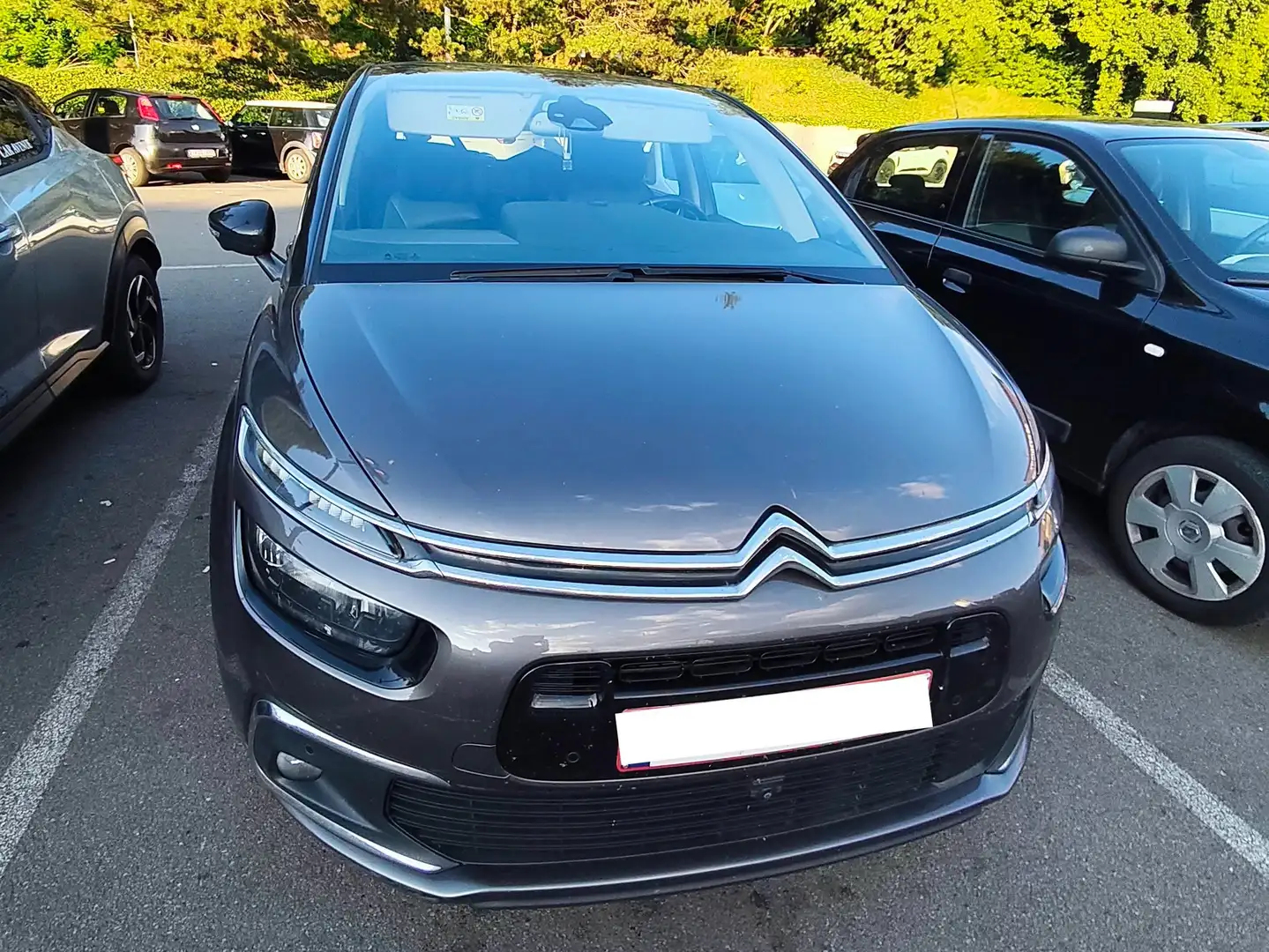 Citroen C4 Picasso C4 Picasso 1.6 BlueHDi Business GPS S Bruin - 2