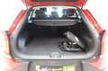 Kia EV6 ELEKTRO  58-kWh ACC+LED+Navi+SHZ+Winterp. Rot - thumbnail 10