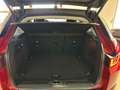 Land Rover Range Rover Evoque 2.0 TD4 180 CV 5p. SE Dynamic Rosso - thumbnail 12