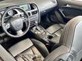 Audi S5 S5 CABRIO *Carbonio*Navi*Rosso Maranello* Rosso - thumbnail 11