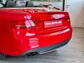 Audi S5 S5 CABRIO *Carbonio*Navi*Rosso Maranello* Rosso - thumbnail 6