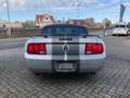 Ford Mustang 4.0 V6 Convertible Export project Gris - thumbnail 5
