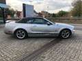 Ford Mustang 4.0 V6 Convertible Export project Gris - thumbnail 3