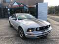 Ford Mustang 4.0 V6 Convertible Export project Gris - thumbnail 2