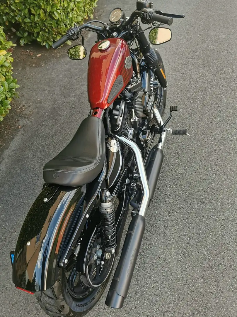 Harley-Davidson Sportster 48 Fory-Eight XL1200X Rot - 2