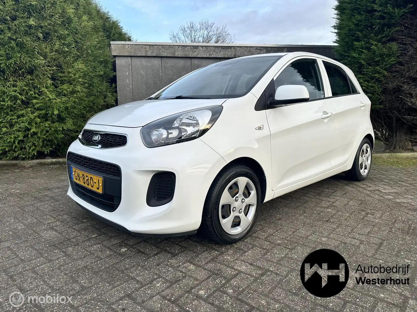 Kia Picanto 1.0 CVVT ComfortLine LPG NAP 5 Deurs AIRCO APK Wit - 2