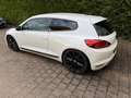 Volkswagen Scirocco Scirocco 2.0 TDI Blue Motion Technologie Club Weiß - thumbnail 3