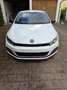 Volkswagen Scirocco Scirocco 2.0 TDI Blue Motion Technologie Club Weiß - thumbnail 9