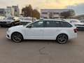 Skoda Octavia Combi RS 245 ACC|Navi|Kessy|beh. Fronts. Weiß - thumbnail 4