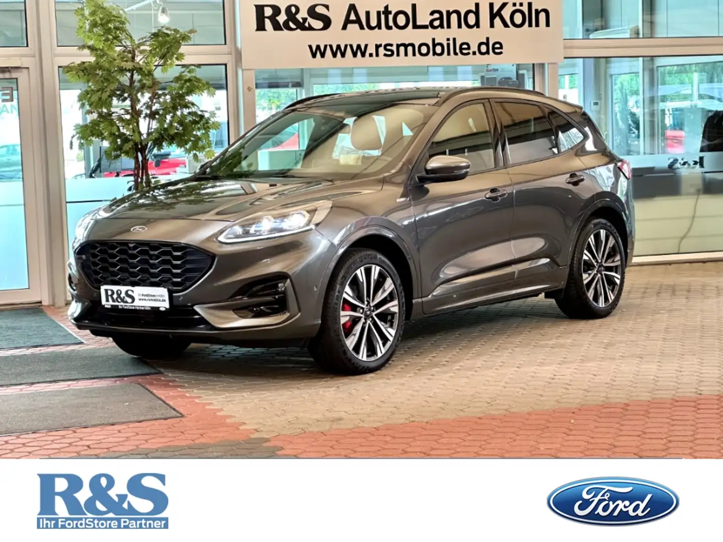 Ford Kuga ST-Line X+Automatik+Pano+AHK+B&O+Kamera Grau - 1
