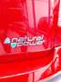 Fiat Panda 1.4 Natural Power ( Garanzia 12 Mesi) Rosso - thumbnail 9