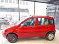 Fiat Panda 1.4 Natural Power ( Garanzia 12 Mesi) Rosso - thumbnail 3