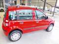 Fiat Panda 1.4 Natural Power ( Garanzia 12 Mesi) Rosso - thumbnail 5