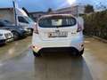Ford Fiesta Fiesta VI 2013 5p 1.0 Business 80cv E6 Wit - thumbnail 6