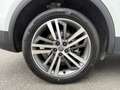 Audi Q5 2.0TDI quattro-ultra S tronic 120kW Blanco - thumbnail 16