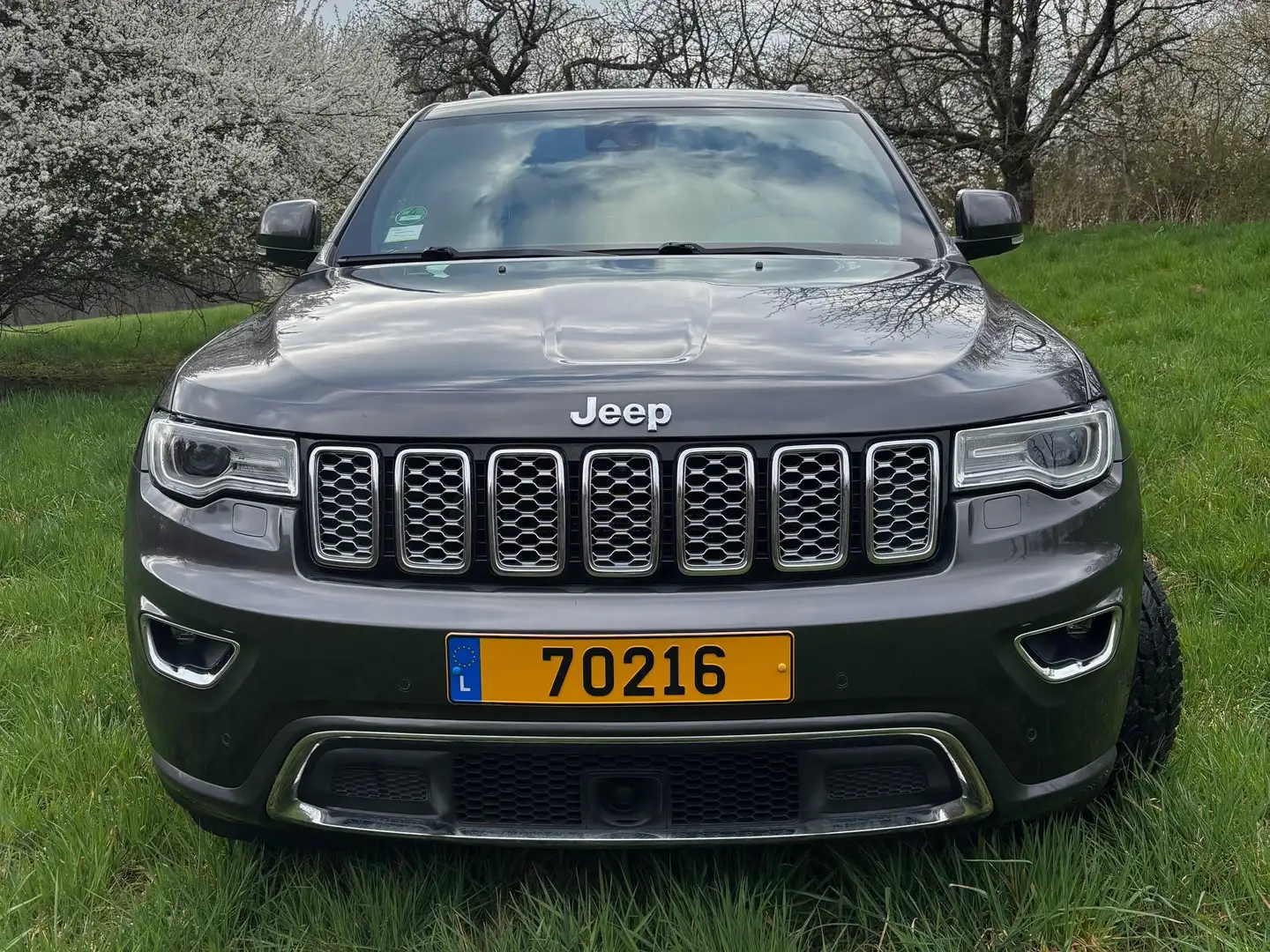 Jeep Grand Cherokee Grand Cherokee 3.6 V6 Overland Gris - 2
