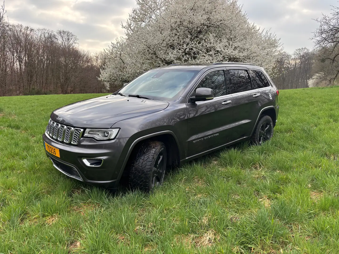 Jeep Grand Cherokee Grand Cherokee 3.6 V6 Overland Gris - 1