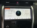 Land Rover Discovery Sport DICOVERY SPORT D mhev S awd 150cv 7 POSTI AUTOM Grijs - thumbnail 27