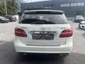 Mercedes-Benz B 200 CDI  4Matic Weiß - thumbnail 4