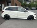 Mercedes-Benz B 200 CDI  4Matic Weiß - thumbnail 7