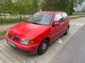 Volkswagen Polo Rosso - thumbnail 9