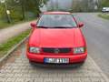 Volkswagen Polo Red - thumbnail 3