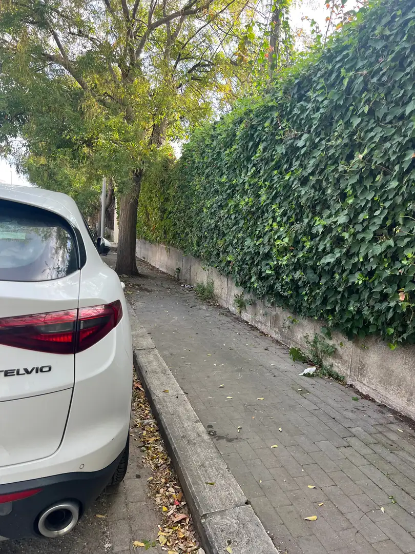 Alfa Romeo Stelvio Bianco - 1