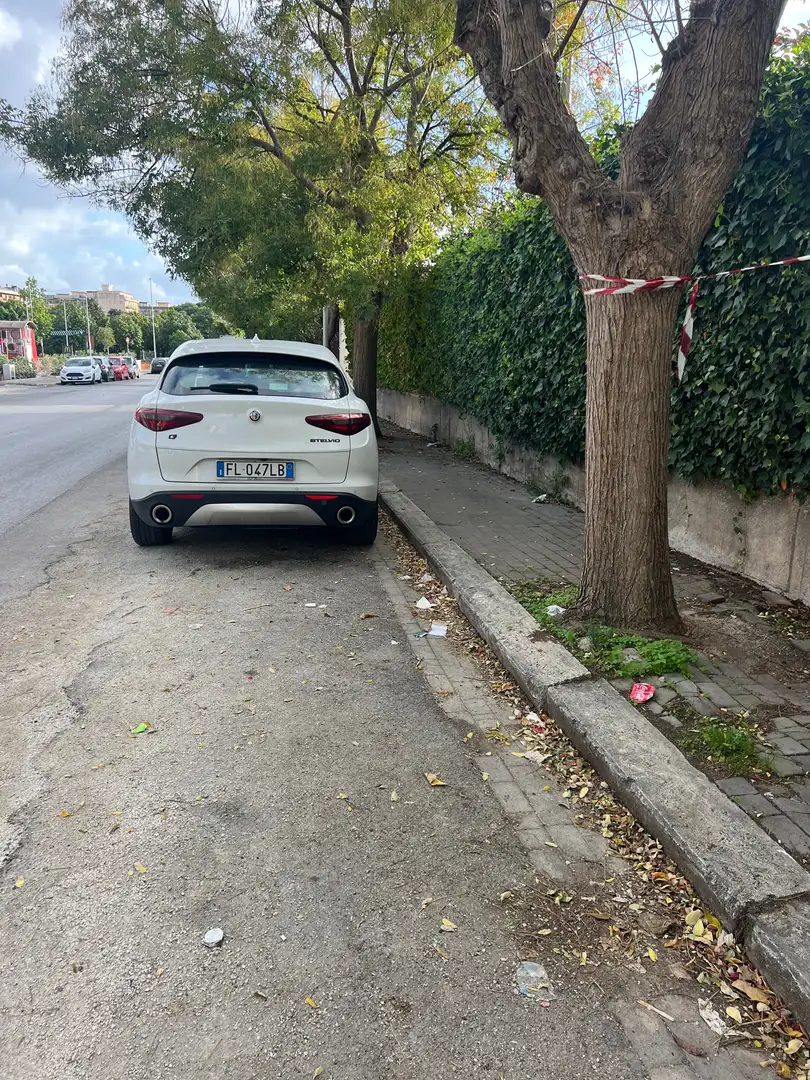 Alfa Romeo Stelvio Bianco - 2
