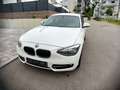BMW 116 116d EfficientDynamics Edition Sport Line Weiß - thumbnail 4