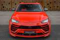 Lamborghini Urus 4.0 V8 | Novitec Esteso Widebody | Panorama | Star Kırmızı - thumbnail 6