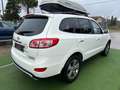 Hyundai SANTA FE 2.2CRDI*7 POSTI*4WD*PELLE*NAVI*KAMERA*LED* Bianco - thumbnail 4