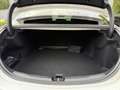 Mercedes-Benz C 300 d +AMG+NIGHT+PANO+HUD+AHKL+360°+HANDSFREE Blanc - thumbnail 9